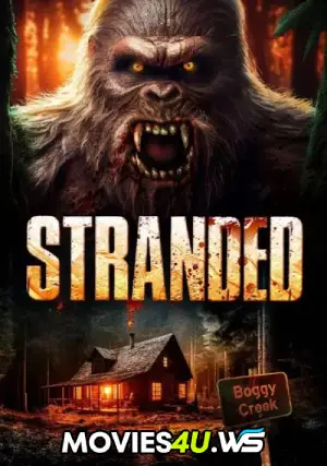 Stranded.webp.webp